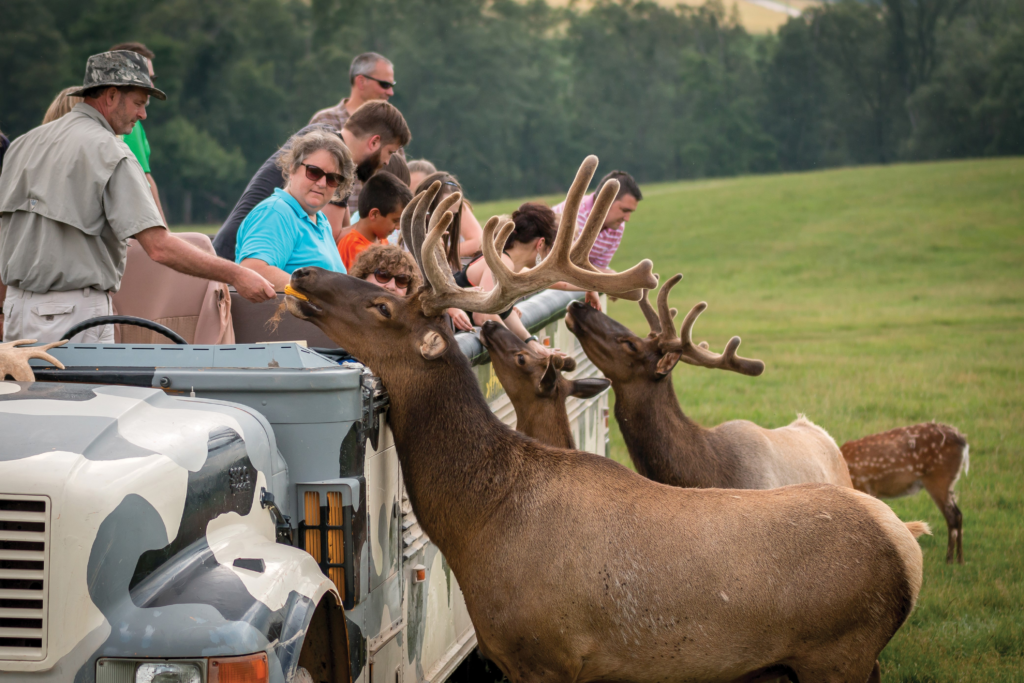 Lake Tobias Wildlife Park Safari & Animal Adventure Guide