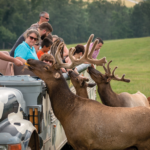 Lake Tobias Wildlife Park Safari & Animal Adventure Guide