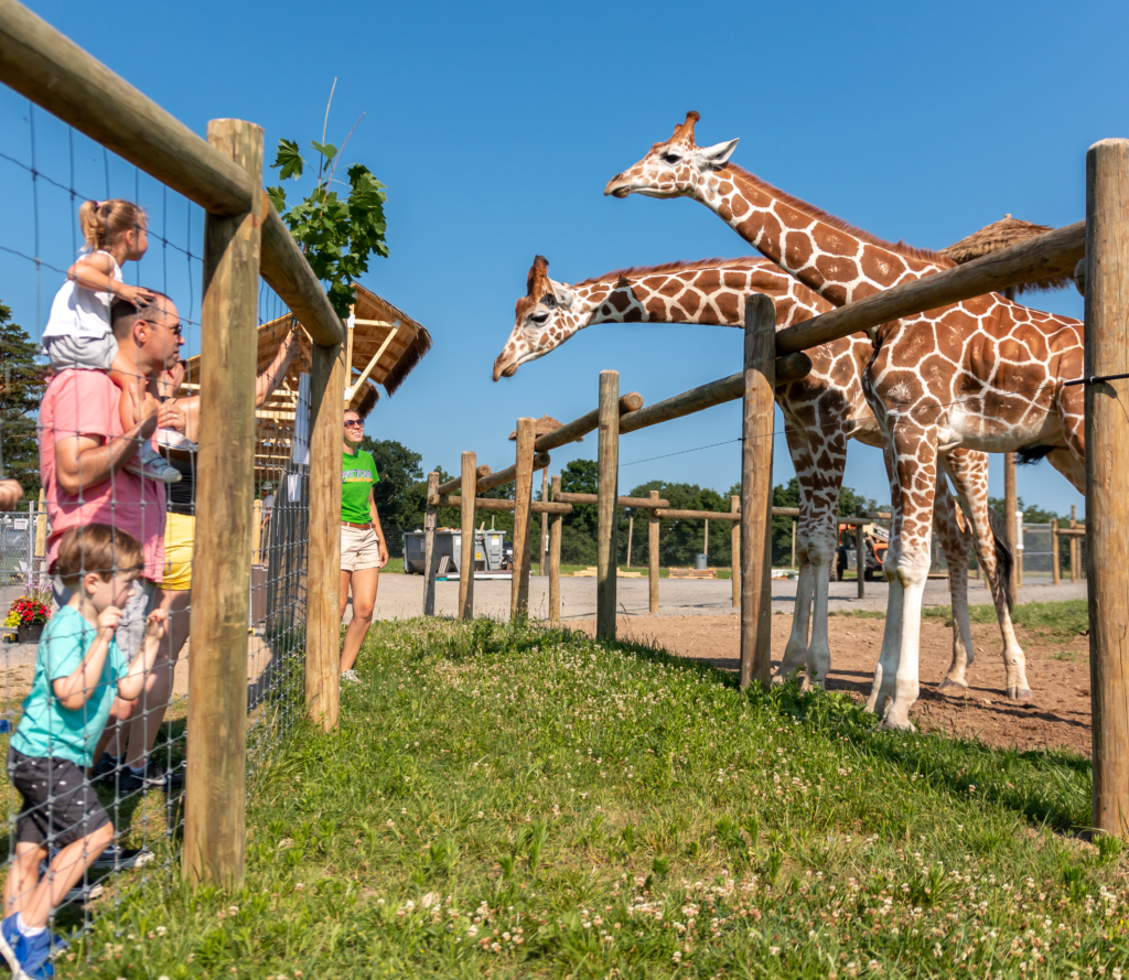 lake tobias wildlife park