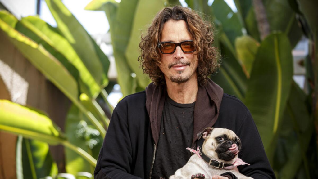 How Did Chris Cornell Die? Cause of Death Explained 2017
