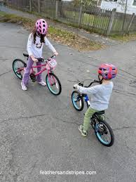 guardian bikes