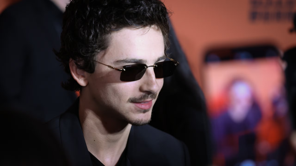 timothee chalamet net worth