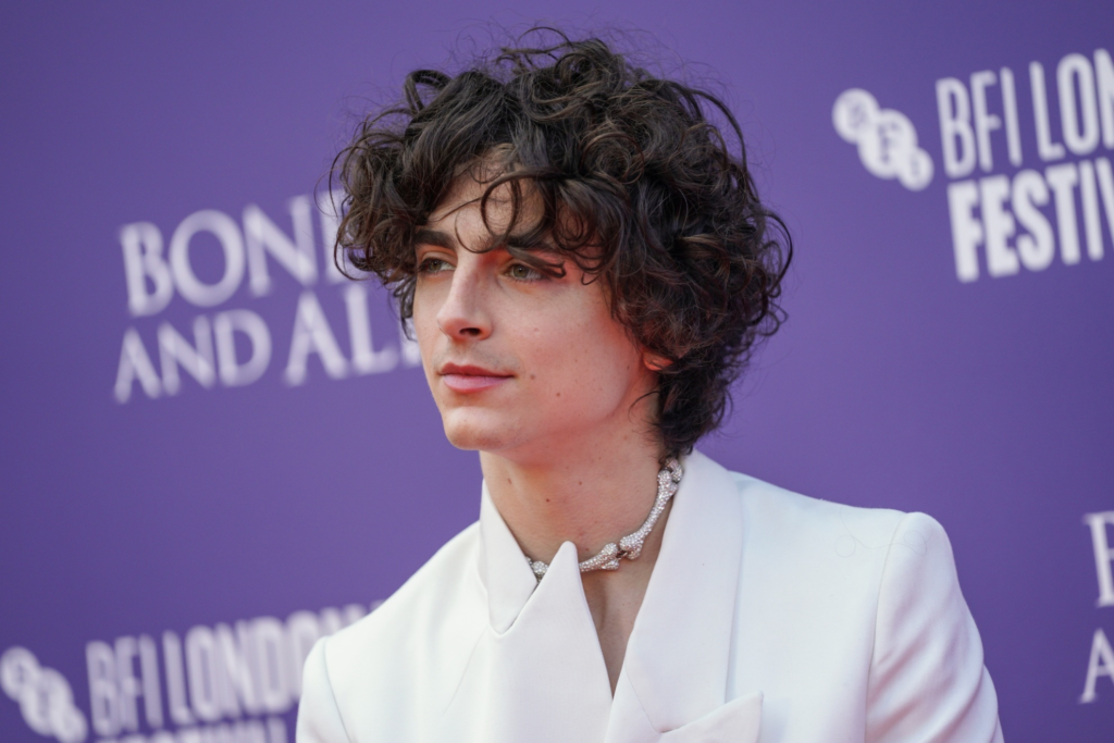 Timothée Chalamet Net Worth: A Deep Look at His Wealth, Career, Salary, and Success Story