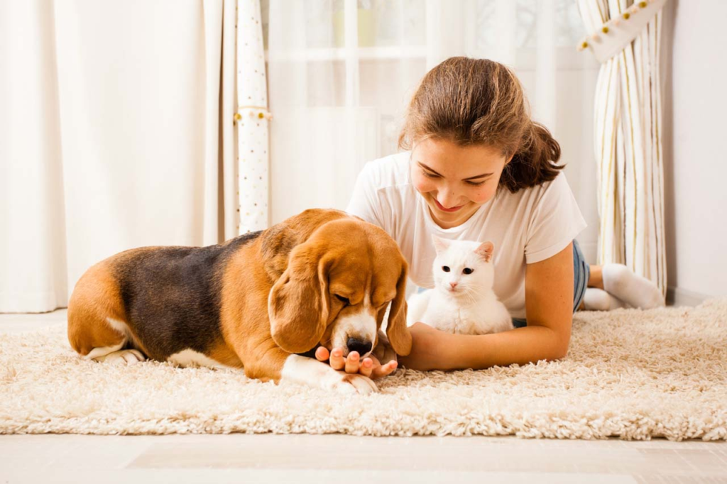 pet sitter