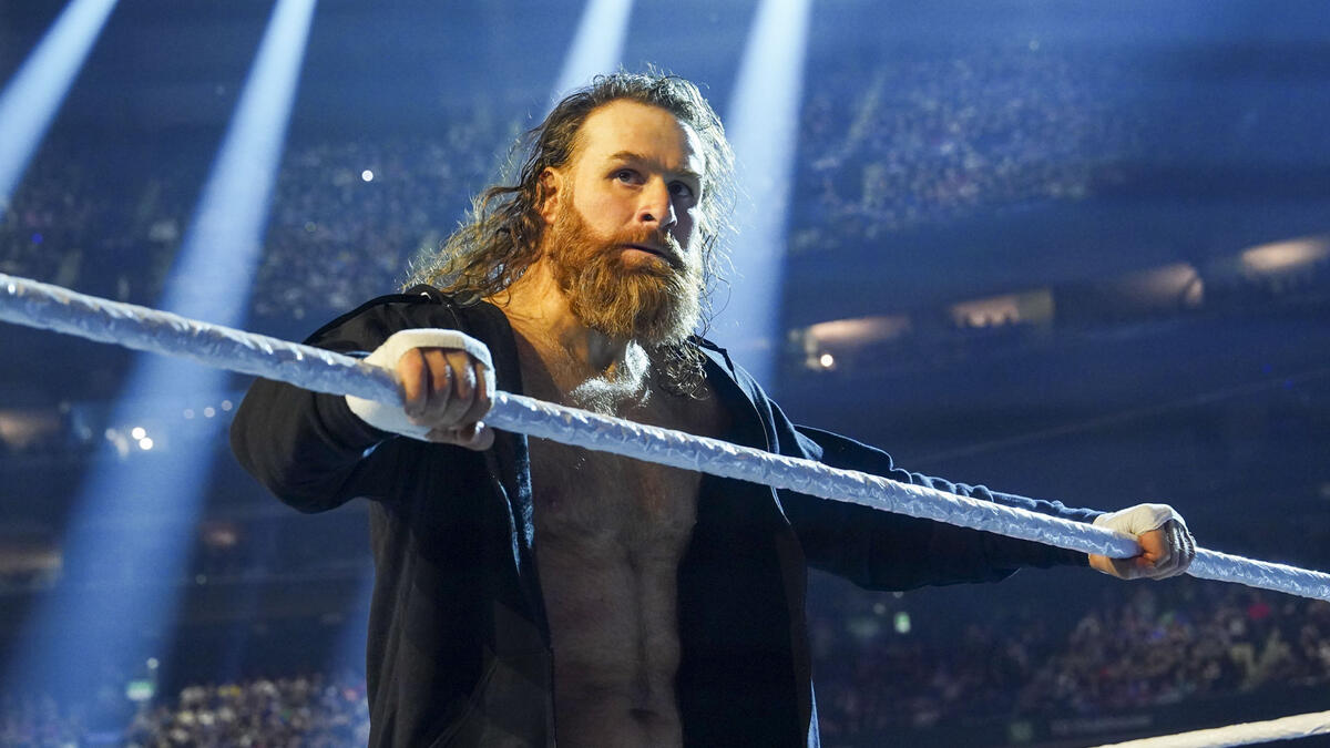 sami zayn