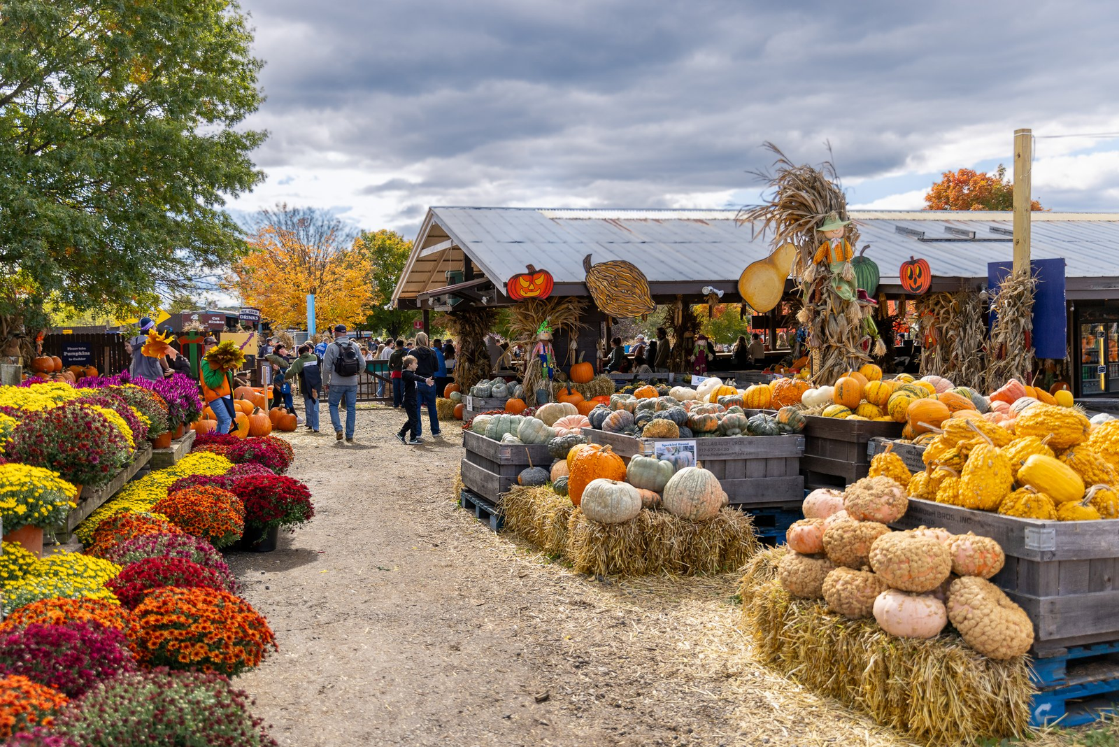 fall festivals near me