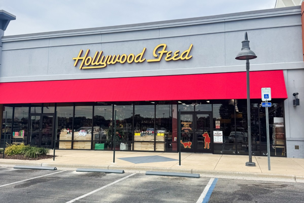 hollywood feed